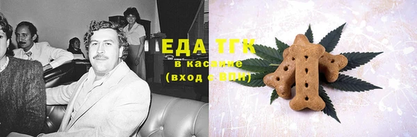 шишки Абаза